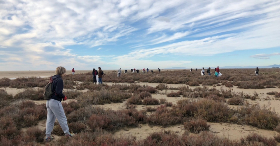 Continuen les accions volunt�ries per netejar les platges | EbreActiu.cat, revista digital d&rsquo;oci actiu | Terres de l&rsquo;Ebre ...